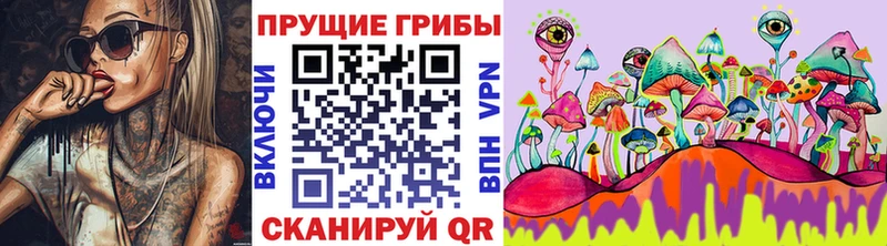 маркетплейс официальный сайт  Тавда  Галлюциногенные грибы Psilocybe 